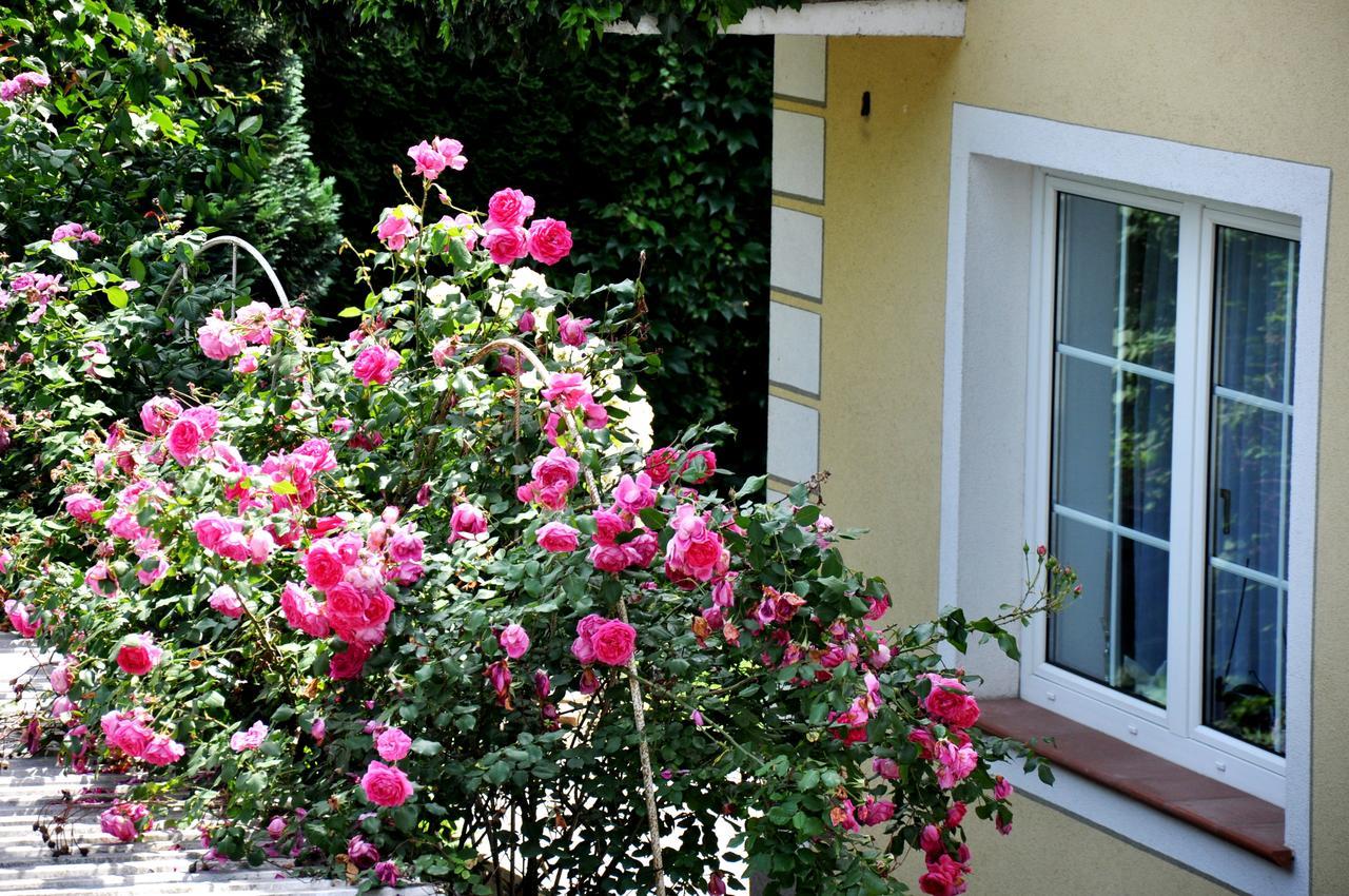 Gaestehaus Wachau Leiben ภายนอก รูปภาพ